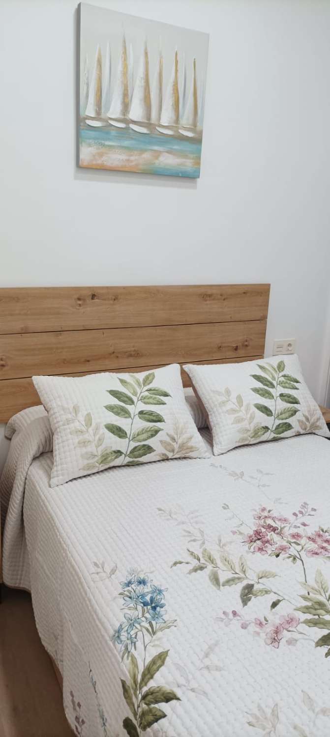 Studie zur miete in Salamanca